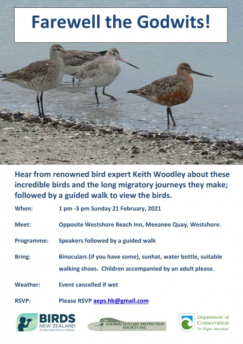 Farewell the Godwits poster Feb 2021